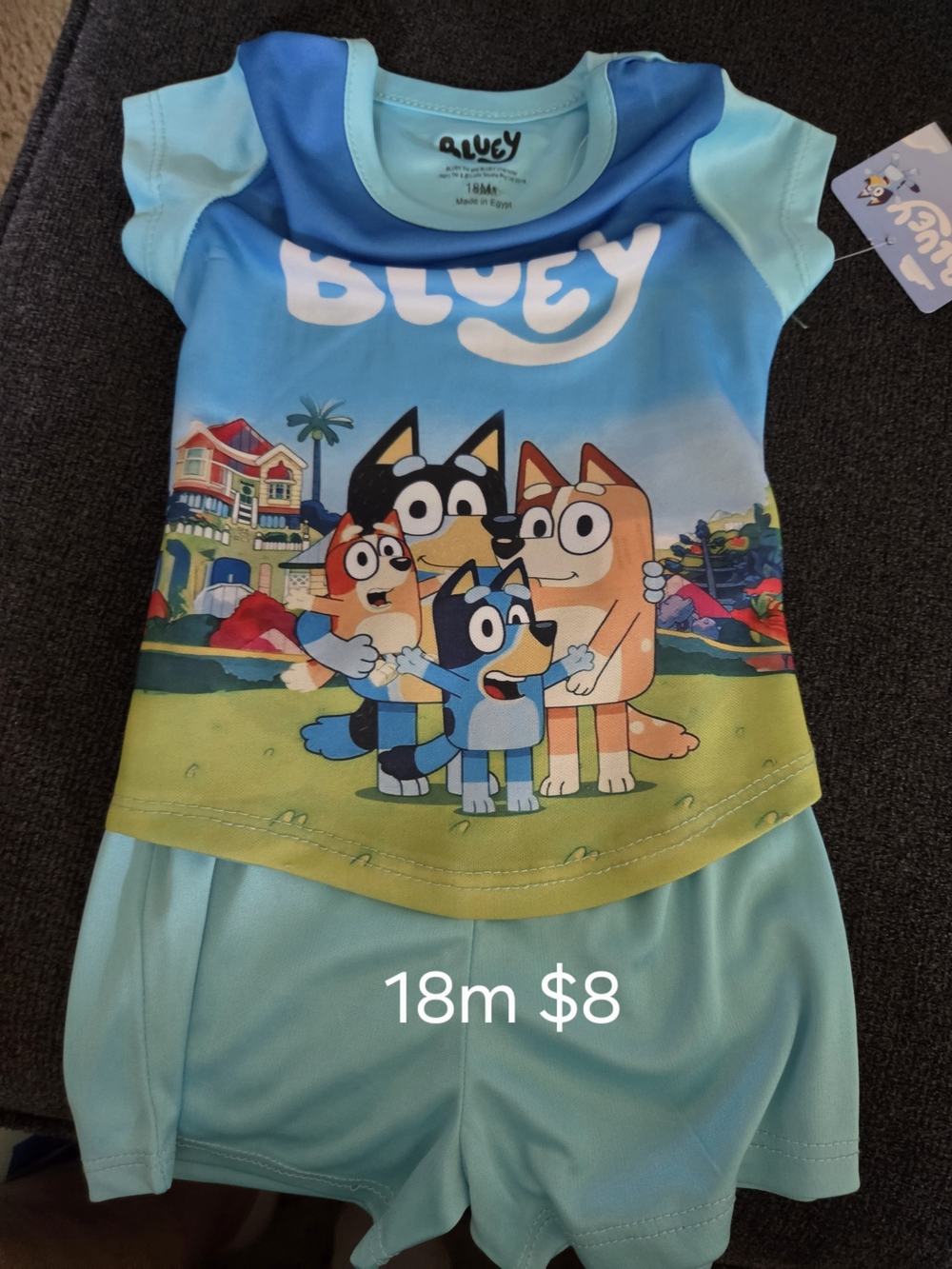 Bluey Light Blue Kids Rashguard Two-Piece Set - Blue